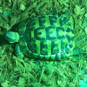 Meet your Posher, Madelyn